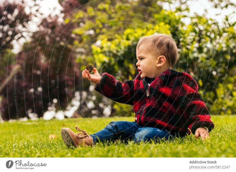 cute baby boy sitting on grass in a park child nature green summer happy outdoor little kid happiness beautiful joy caucasian fun spring people childhood young
