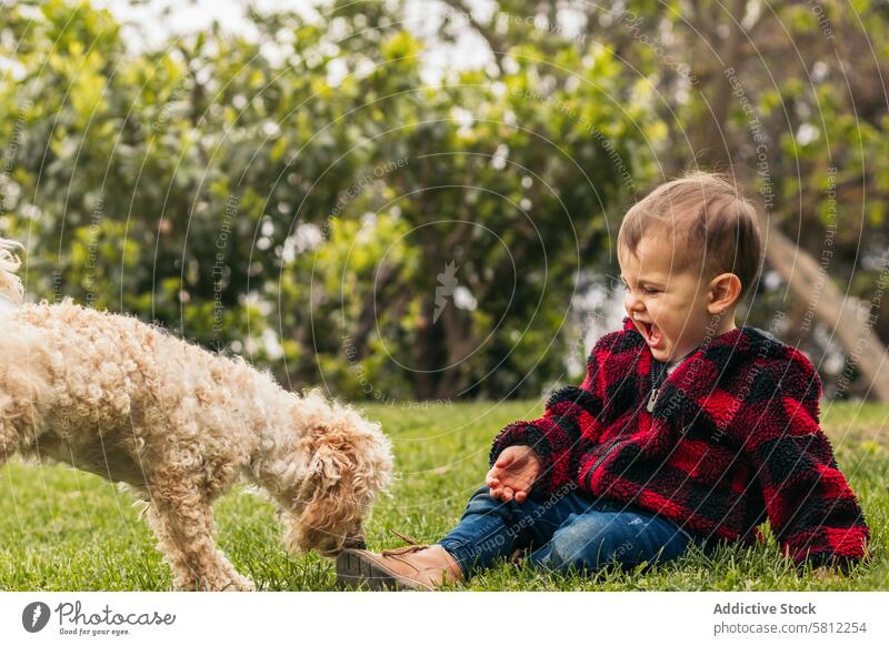 cute baby playing with a dog in a park animal pet young happy grass little child happiness kid summer person people puppy outdoor love fun domestic beautiful