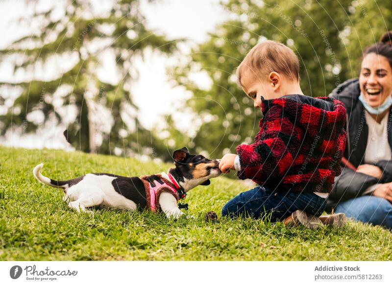 baby boy playing with a little dog in a park happy child childhood cute people pet young happiness kid fun outdoor love animal nature grass puppy cheerful