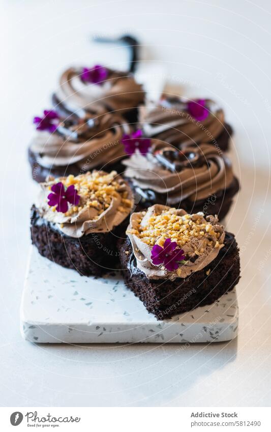 Sweet sponge cakes with whipped cream on table dessert vegan chocolate bakery serve sweet treat flower garnish decoration delicious appetizing cuisine homemade