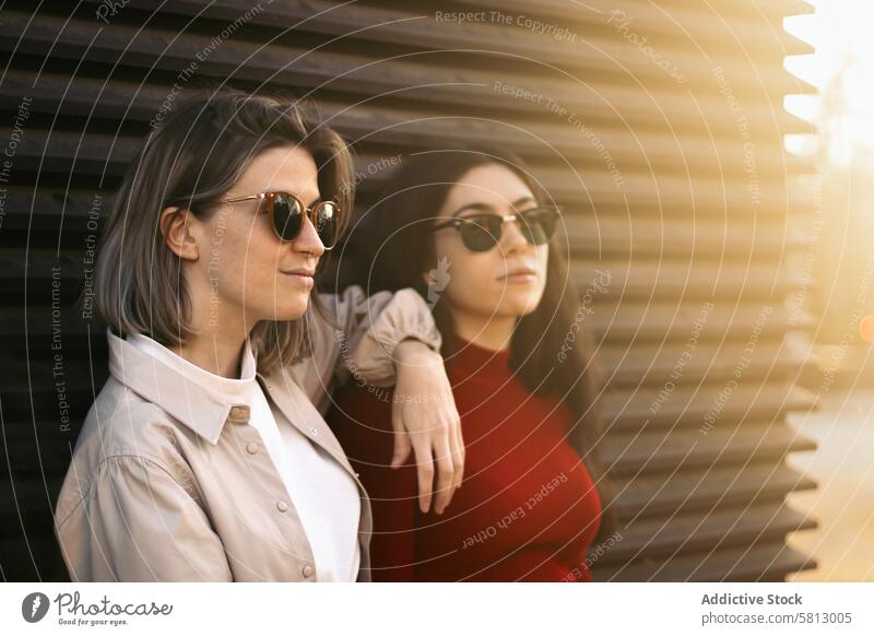 Two women portrait from the side with sunlight woman people young two female love happy couple outdoors together summer smiling happiness adult two people