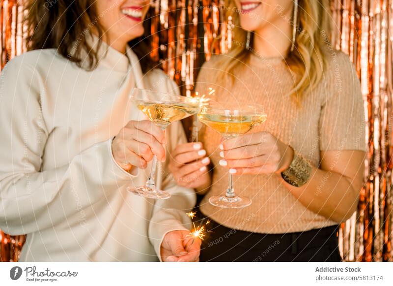 Crop women proposing toast during party celebrate alcohol drink cocktail festive beverage friend holiday glass champagne event cheerful together smile happy
