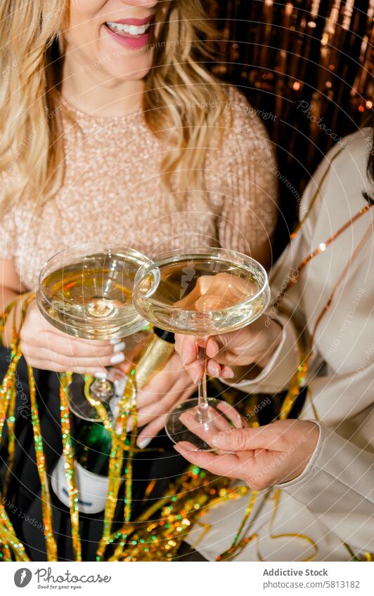 Close Up of cheerful woman at Party Making Champagne Toast Together person drink party glass wine friends alcohol celebrate holiday group female fun hand