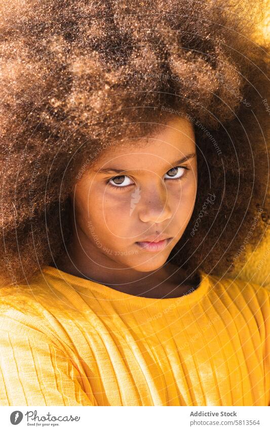 Ethnic girl with Afro hairstyle looking at camera afro curly hair teen serious portrait kid human face yellow african american black ethnic female teenage