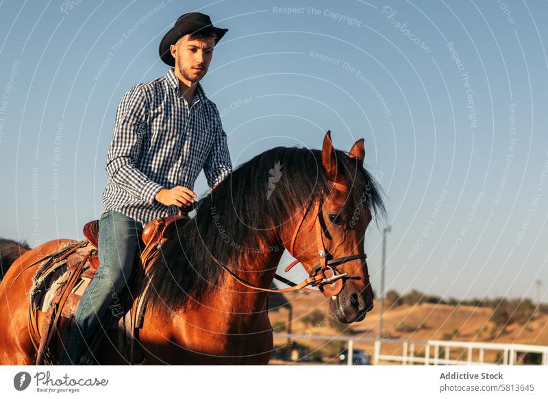 Man riding a horse in an equestrian center nature animal farm equine groom stable stallion ranch livestock friend pet mammal barn beautiful lovely domestic
