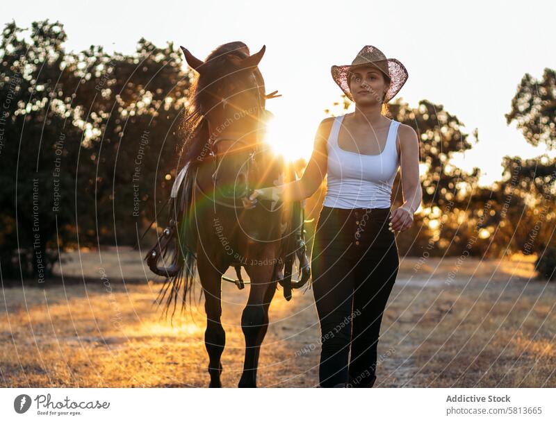 Young woman in hat walking with her horse in the countryside at sunset nature young animal ranch cowgirl cowboy person equine riding beautiful equestrian pet