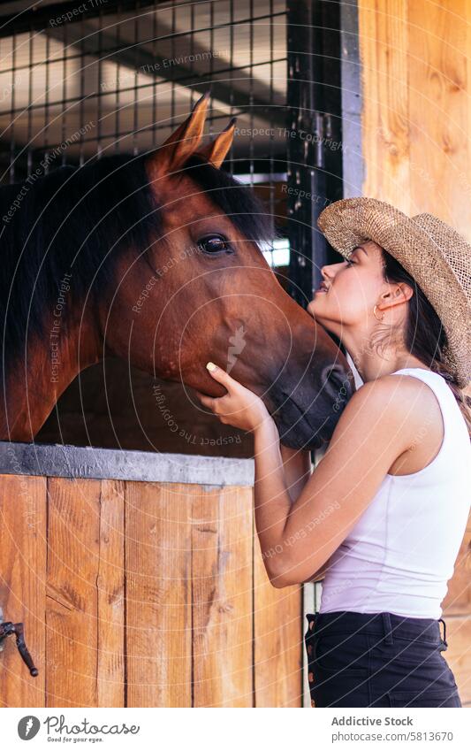 Woman taking care of his brown horse in the stable woman rider nature animal equestrian farm equine groom stallion ranch livestock friend pet mammal barn