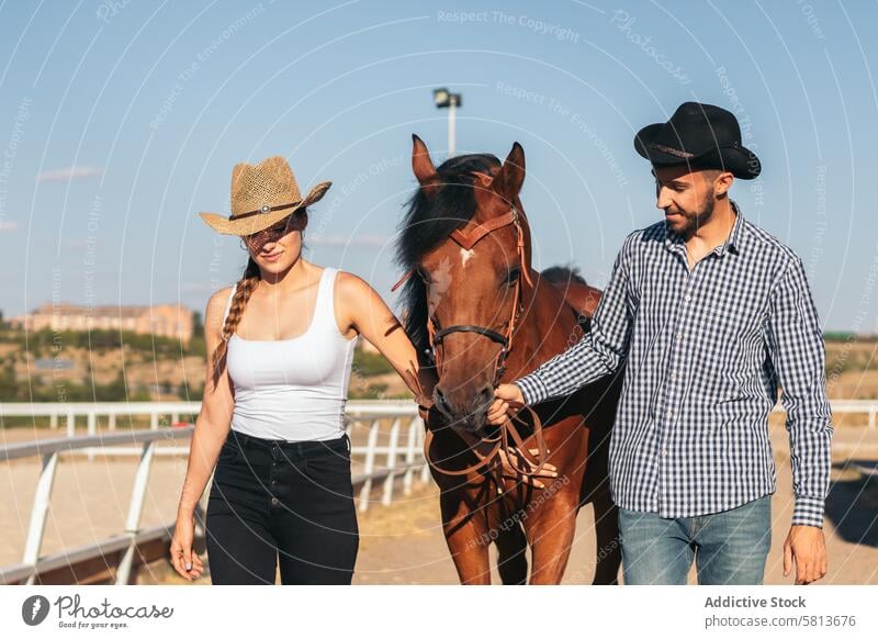 Friends walking with a horse in an equestrian center man rider nature animal farm male equine groom stable stallion ranch livestock friend pet mammal barn