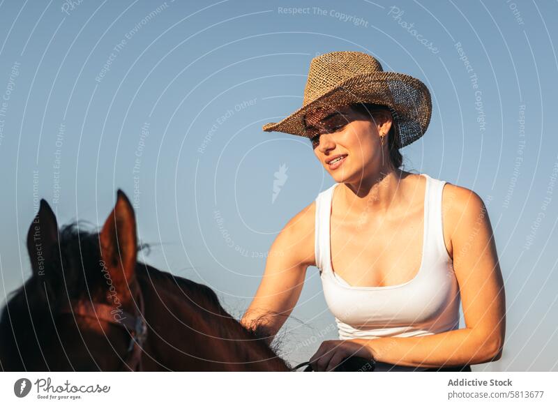 Young woman in hat riding a horse in the countryside at sunset nature young animal ranch cowgirl cowboy person equine beautiful equestrian pet female field