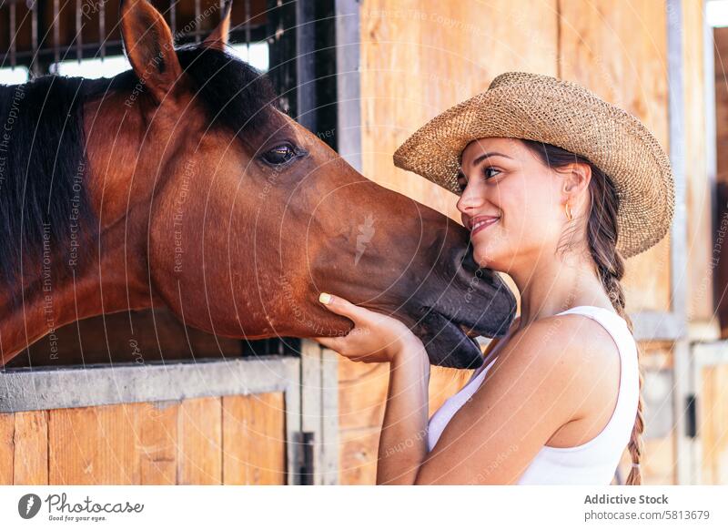 Woman taking care of his brown horse in the stable woman nature animal equestrian farm equine groom stallion ranch livestock friend pet mammal barn beautiful