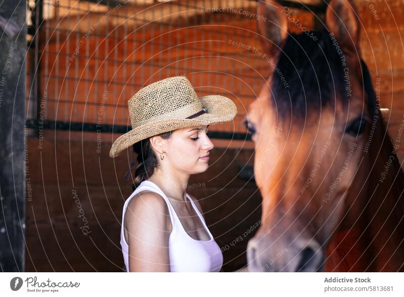 Woman taking care of his brown horse in the stable woman nature animal equestrian farm equine groom stallion ranch livestock friend pet mammal barn beautiful