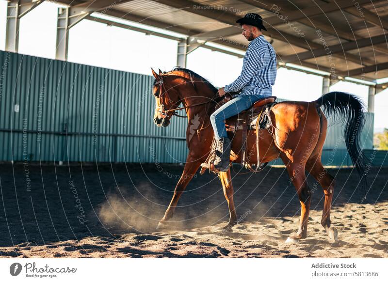 Man riding a horse in an equestrian center nature animal farm equine groom stable stallion ranch livestock friend pet mammal barn beautiful lovely domestic