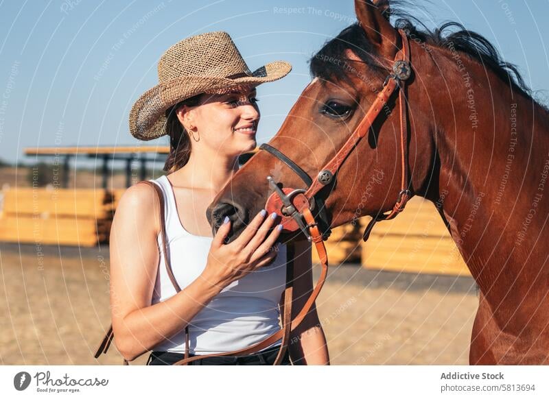 Woman saddling his horse in a riding center rider nature animal equestrian farm equine groom stable stallion ranch livestock pet mammal barn beautiful domestic