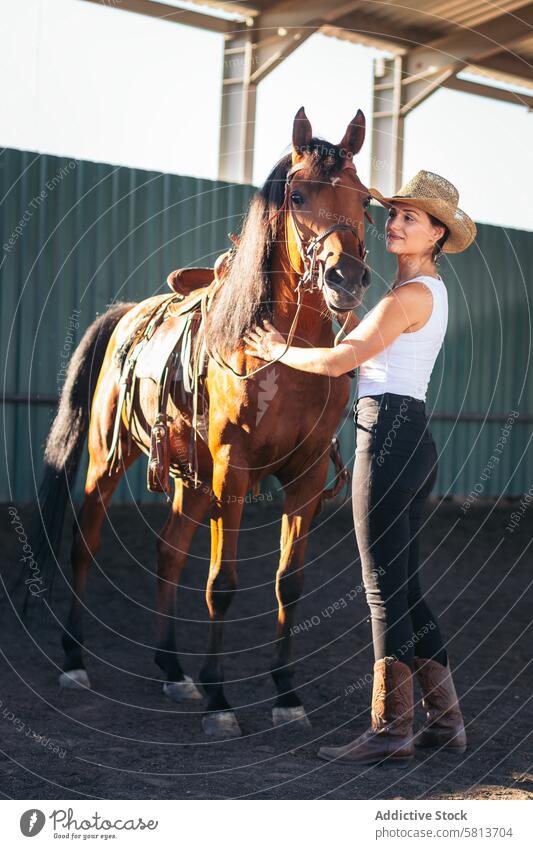 Woman taking care of his brown horse in an equestrian center woman nature animal farm equine groom stable stallion ranch livestock friend pet mammal barn