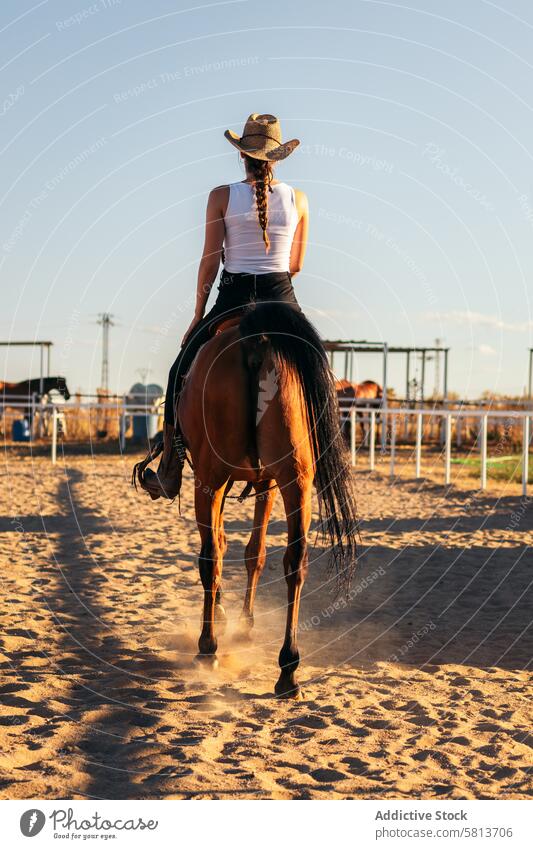 Woman riding a horse in an equestrian center woman nature animal farm equine groom stable stallion ranch livestock friend pet mammal barn beautiful lovely