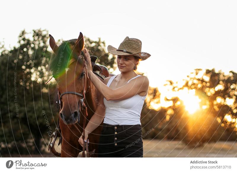 Young woman in hat walking with her horse in the countryside at sunset nature young animal ranch cowgirl cowboy person equine riding beautiful equestrian pet