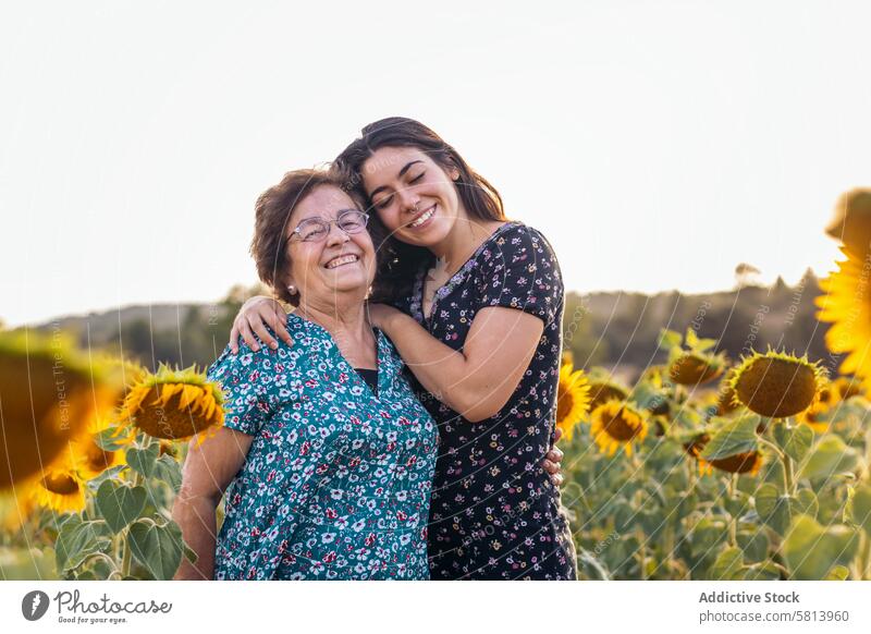 Taking advantage of the moments together. Grandmother and granddaughter in a field of sunflowers. woman elderly nature people summer agriculture outdoor yellow