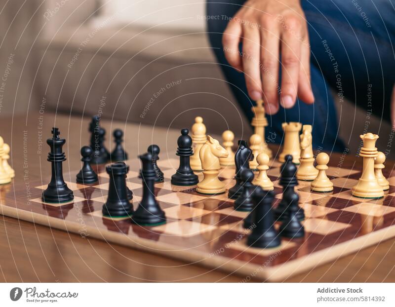 Chess game at home. Chess board with the pieces placed chess play fun competition leisure table strategy challenge activity sitting indoors playing intelligence