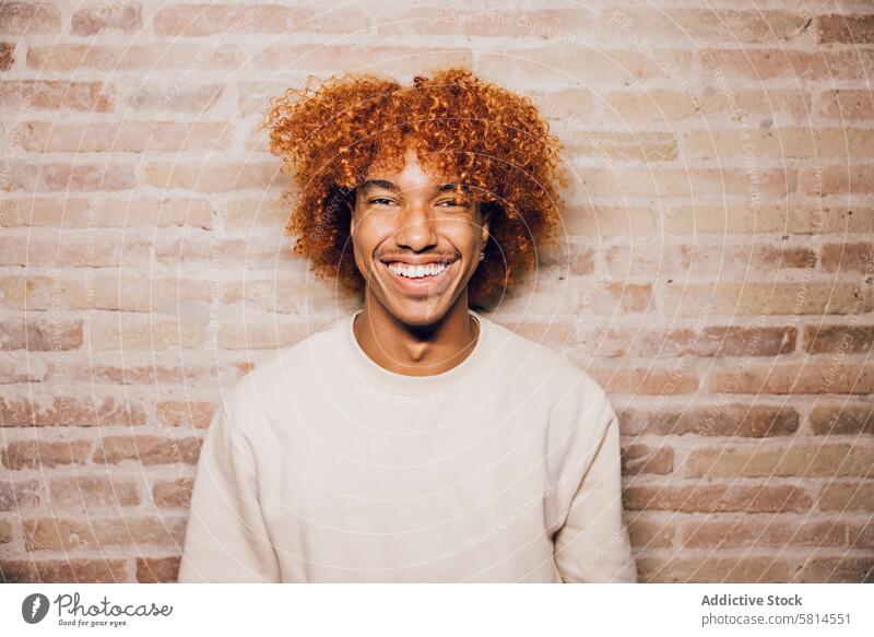 Portrait of a young man with a brick wall background. Headshots Laughing adult man african american ethnicity afro afro hairstyle attractive beautiful man