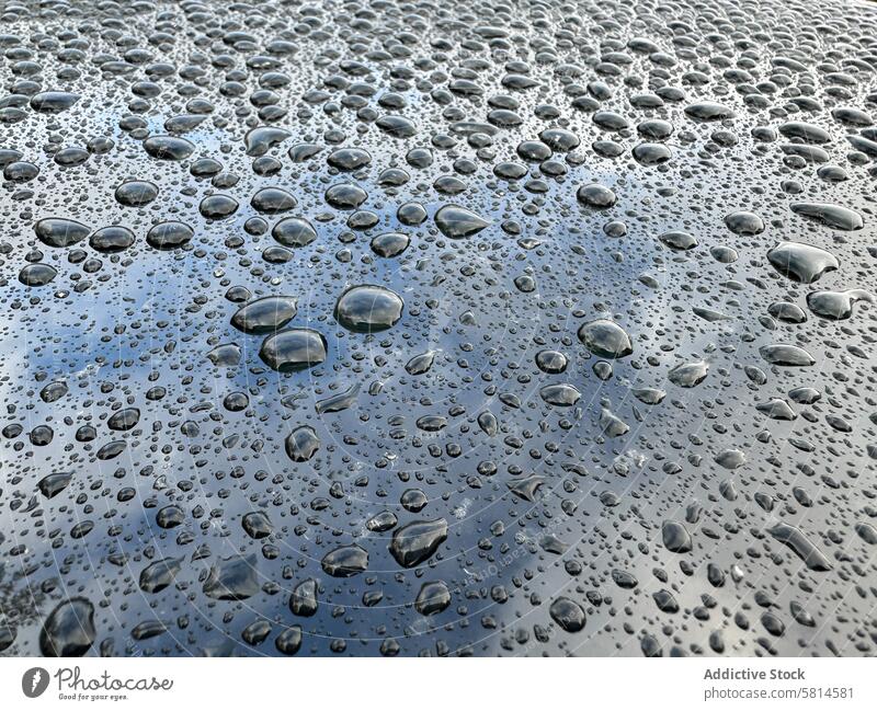 A wet surface with many small water droplets scattered across it rain abstract liquid textured background transparent condensation raindrop closeup dew pattern