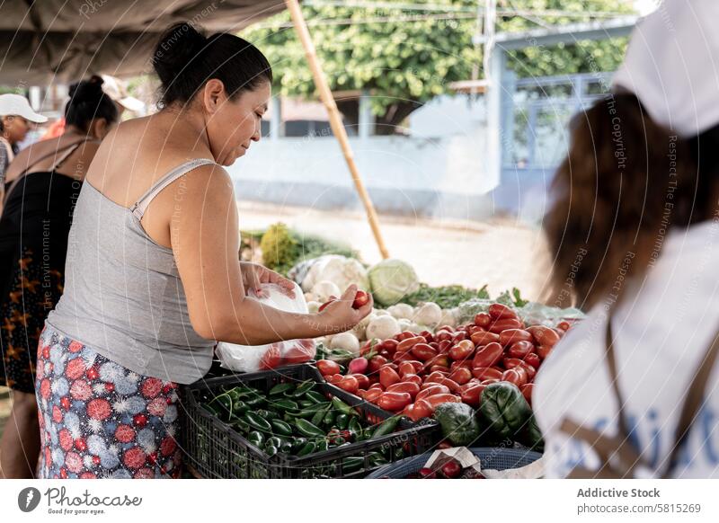 An adult Hispanic woman is choosing tomatoes in a street market hispanic vegetable grocery buying farmer chilli jalapeno looking comparison healthy nutrition