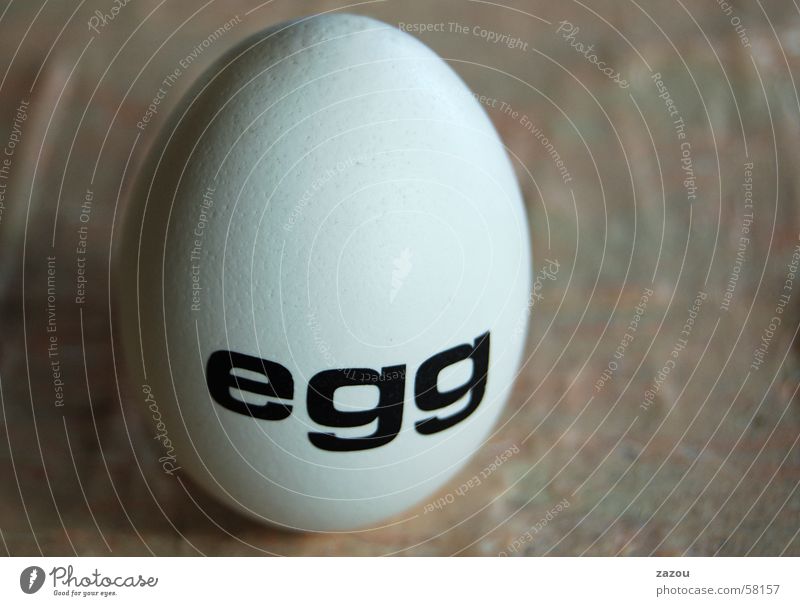 an egg Easter Easter egg Art Sculpture Eggshell Barn fowl Nutrition Characters Columbus Monument