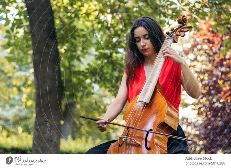 Woman playing the cello in a park. musician woman instrument concert performance artist musical outdoors classical entertainment orchestra melody symphony sound