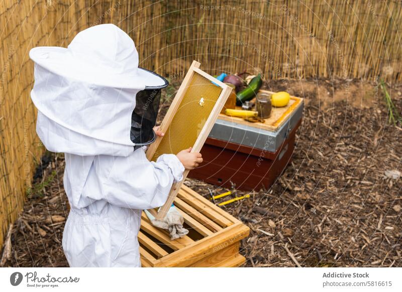 Child with honeycombs in apiary child hive costume protect beehive kid sa
