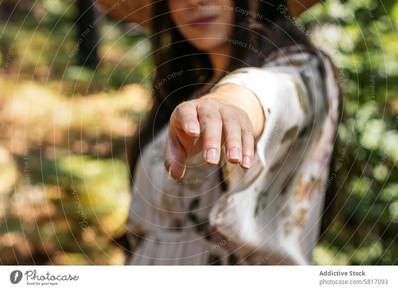 Hand of a woman reaching towards the camera forest female young nature park lifestyle walk leisure outdoors sunny tree caucasian holiday happiness green natural