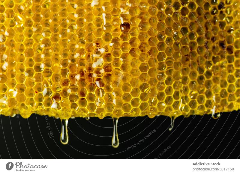 Honeycomb with golden honey on black background honeycomb drip sweet liquid drop natural dessert treat studio yellow tasty fresh food delicious yummy bright