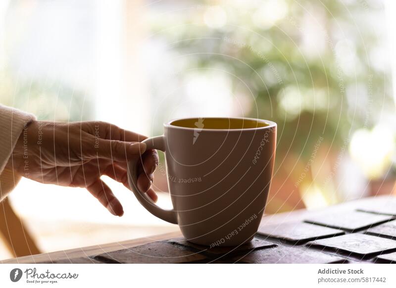 Hand of a mature woman holding a cup of coffee. drink milk breakfast beverage pour white cafe closeup latte espresso fresh hot cappuccino food cream design