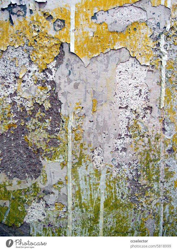 Peeling plaster and paint residue on a wall flaking paint Colour Old Structures and shapes Transience Decline Detail Ravages of time Change Close-up