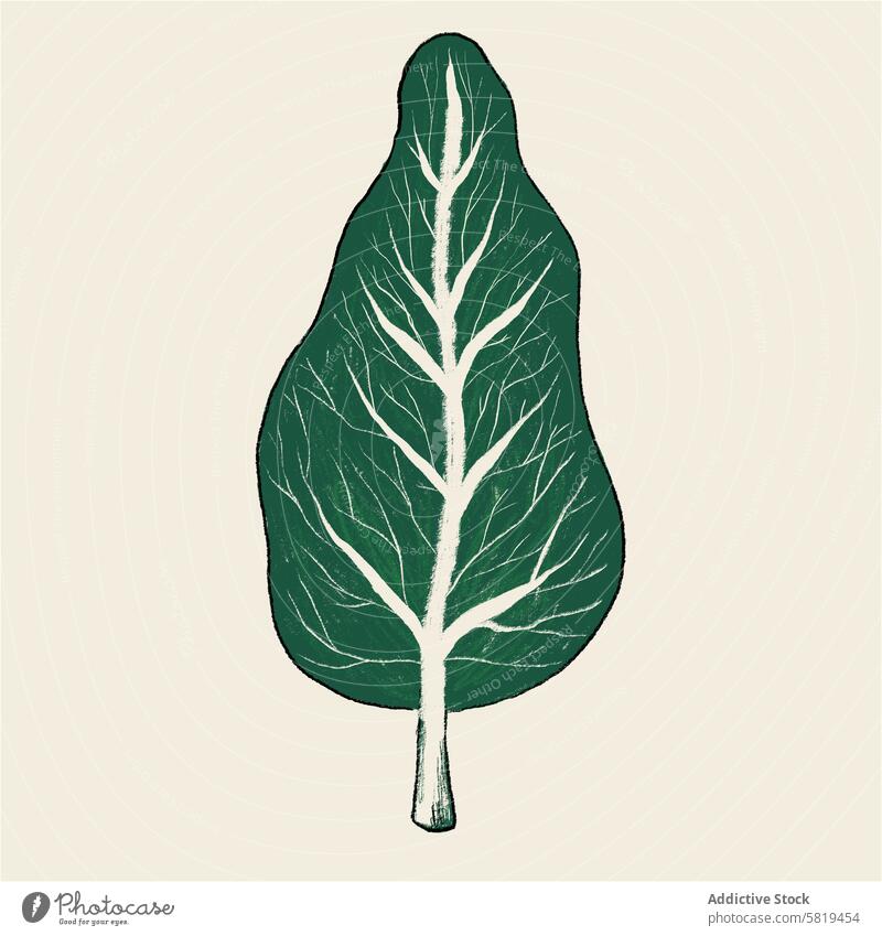 Spinach leaf illustration in unique pear shape spinach plant botanical art whimsical creative design hand-drawn blend twist food vegetable fruit green organic