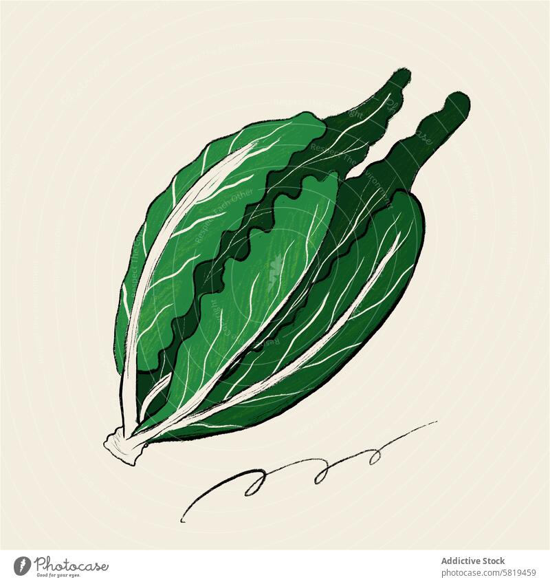Illustration of fresh green lettuce illustration vegetable leaf hand-drawn digital art stylized produce vegan healthy organic food diet nutrition vegetarian