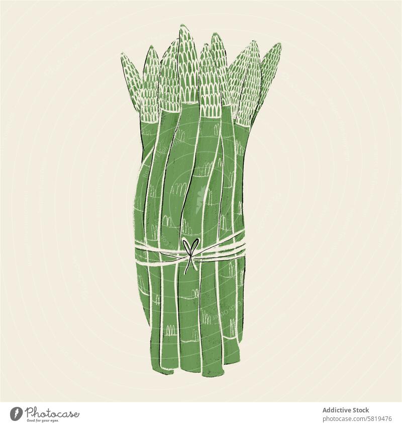 Illustration of a bundle of asparagus illustration vegetable hand-drawn green string tied bunch spears produce food plant stalks healthy organic gourmet