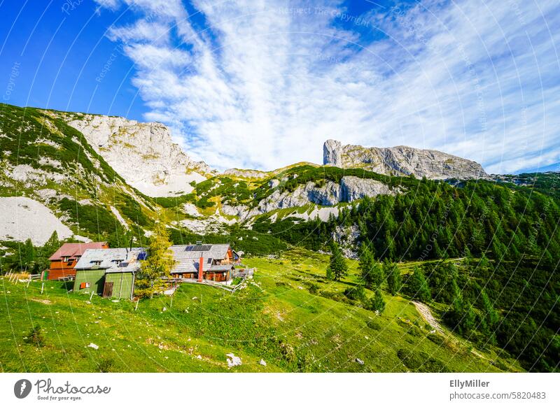 Idyllic landscape on the Tauplitzalm in Austria. Styria Landscape Nature mountains Alpine pasture panorama Clouds Federal State of Styria Beautiful weather
