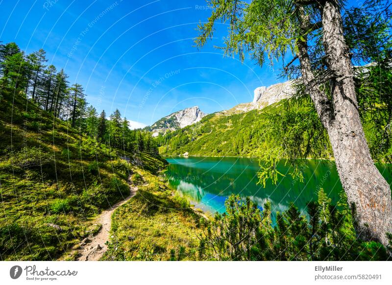 Steirersee, Tauplitzalm. Landscape at a mountain lake in Styria. Lake Styria Austria Nature Idyll Mountain mountains Vacation & Travel Relaxation