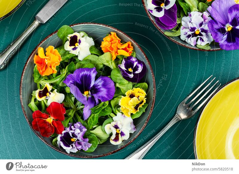Salad of edible flowers, vegetarian food. springtime nature field pansies violet flower healthy eating seasonal herbal fresh salad bloom pansy violets dieting