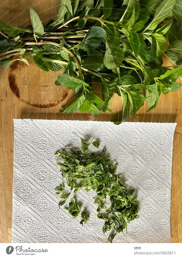 Spring herbs Woodruff Mint Peppermint Herbs and spices Horticulture Kitchen kitchen herbs boil Green