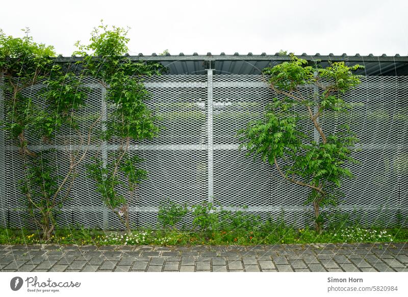 Bicycle garage with greenery creeper canopy Storeroom Grating Structures and shapes Materials Green Gray Contrast completed safeguarded inaccessible Protection
