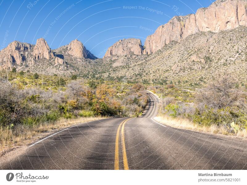 Scenic road in the Big Bend National Park, Texas USA road trip big bend nature big bend national park mountains texas rays desert dawn wilderness plant ocotillo