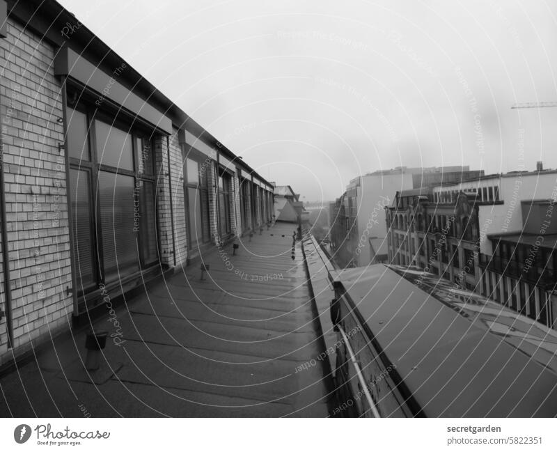 Above the roofs of Hamburg Black & white photo Gray Twilight Moody Roof Architecture Old building Window Dangerous Tall Fog Wet rainy Weather Rain roof edge