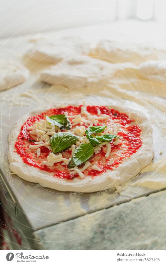 Fresh pizza base with tomato sauce and cheese being prepared dough basil preparation cooking food pizzeria italian cuisine fresh ingredient mozzarella