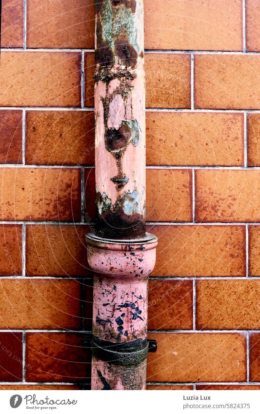 Rainwater pipe and brick wall, a play of colors Ravages of time Downspout Rust Detail Wall (building) Downpipe Corrosion Teeth of time Trashy Change Close-up