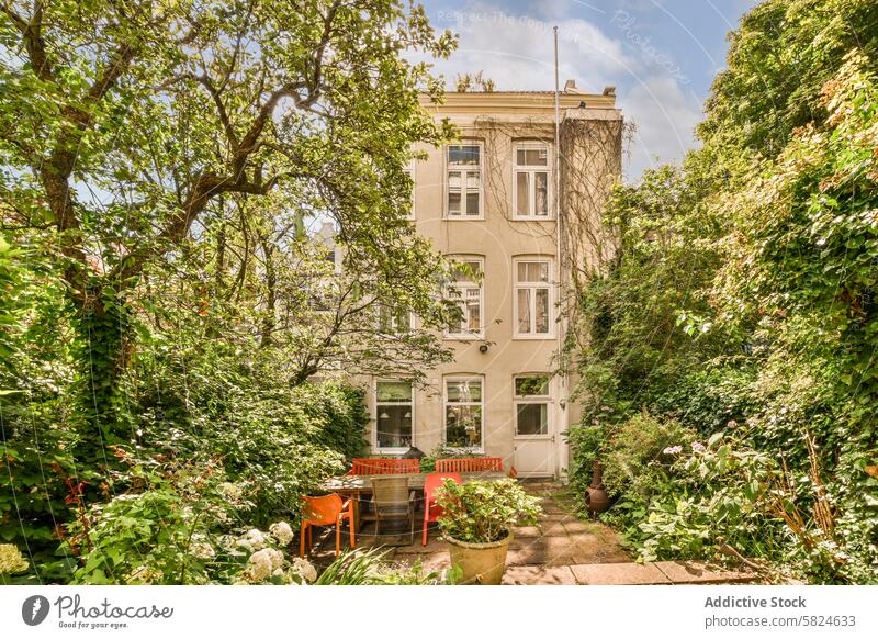Secluded garden and historical building in Amsterdam amsterdam tree architecture urban nature schapenburgpad lush green plant leaf city outdoor facade summer