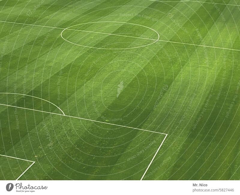 soccer field Football pitch Stadium Green Meadow Grass Line 16 Foot ball Leisure and hobbies National league World Cup Penalty area Lawn Football stadium