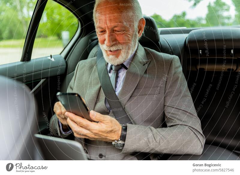 Elderly businessman checking his smartphone while traveling in a luxury sedan elderly car ride suit laptop messages senior transportation executive mobile