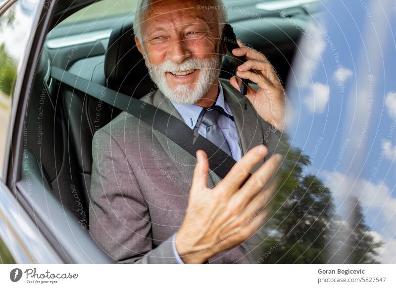 Elegant senior businessman chatting on phone while riding in a luxury car cell conversation elegant charming confident interior leather seats ride attire suit