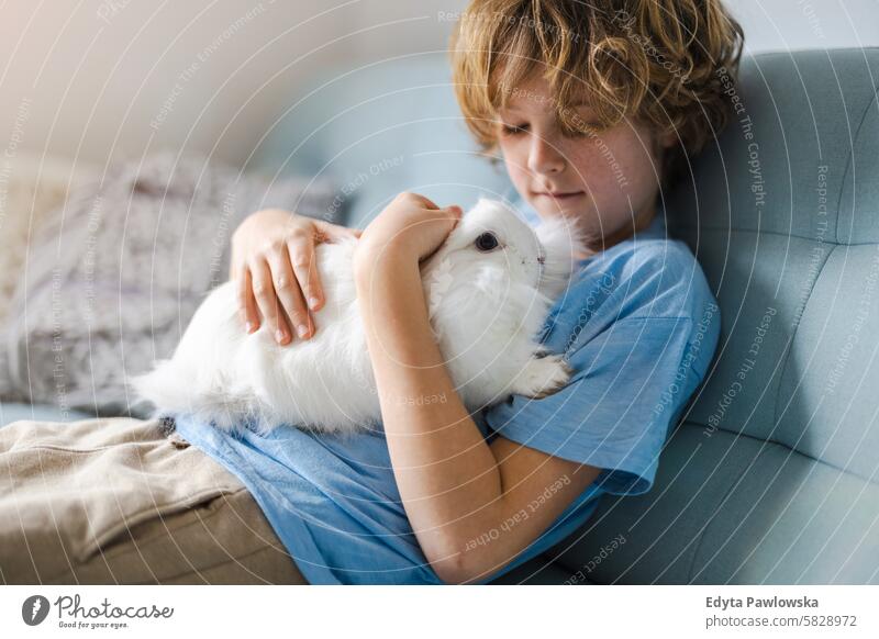 Cute little boy cuddling his bunny pet at home adorable animal arms care child children claws cute domestic animal fluffy friend fun fur furry pets rabbit