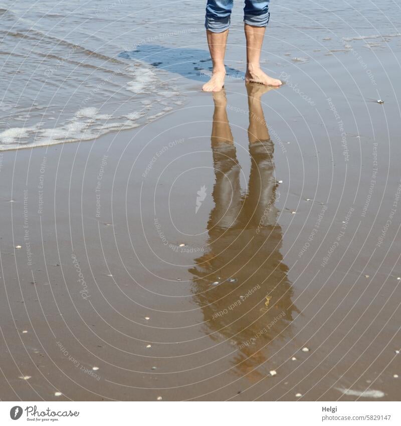 water level Human being Man Legs reflection Beach Sand Water Ocean North Sea North Sea coast Barefoot Feet Vacation & Travel Relaxation Exterior shot Summer